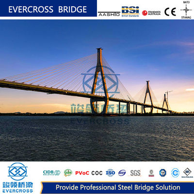 購入 複合ケーブル 固定橋 高強度メタルトラス橋 online manufacture